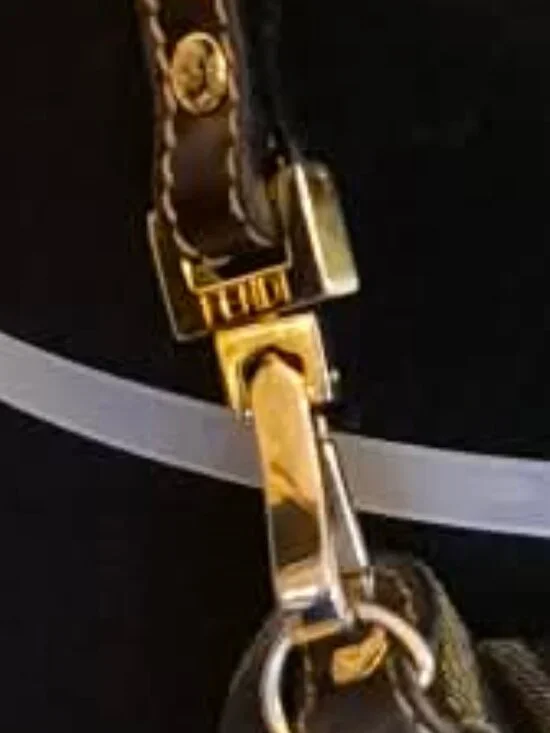 Fendi ZuccaFend Monogram 2-Way Bag – Vintage Y2K | Crossbody + Top Handle | Rare - Picture 3 of 9